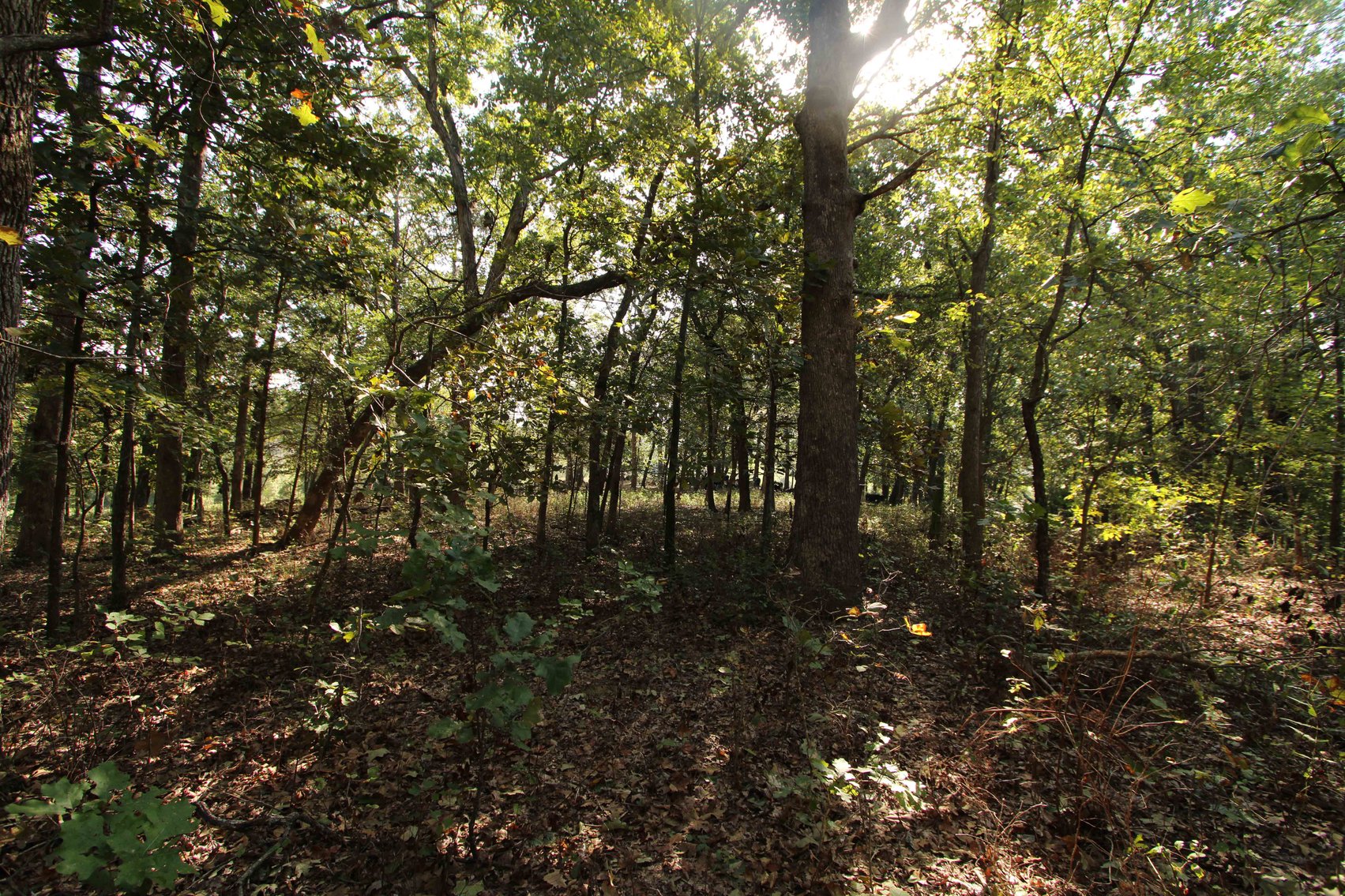 Image for Perry County, Hwy BB