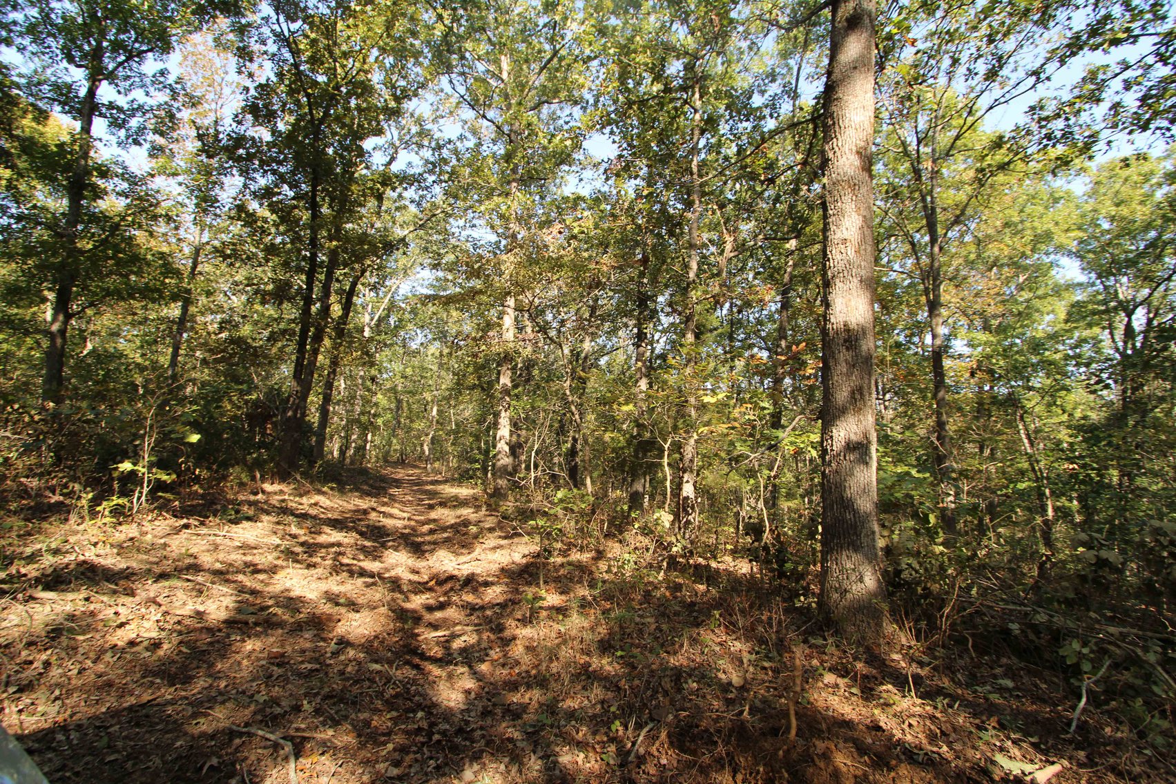 Image for Perry County, Hwy BB