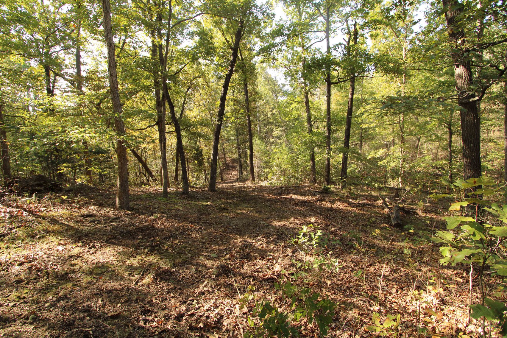 Image for Perry County, Hwy BB