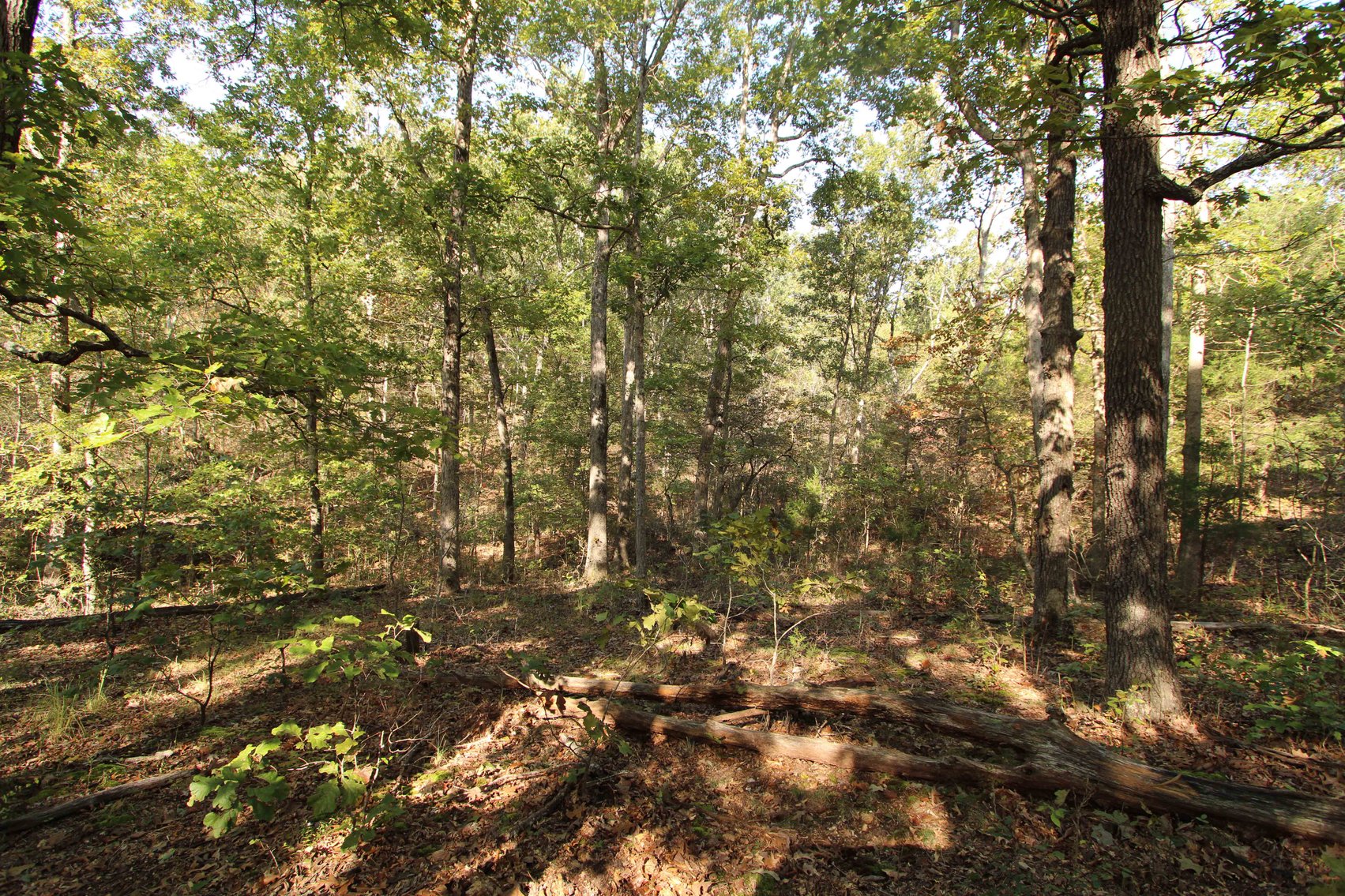 Image for Perry County, Hwy BB