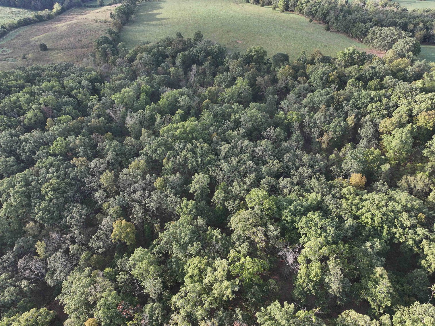 Image for Perry County, Hwy BB