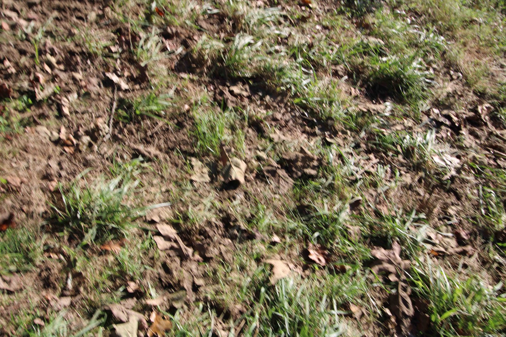 Image for Perry County, Hwy BB