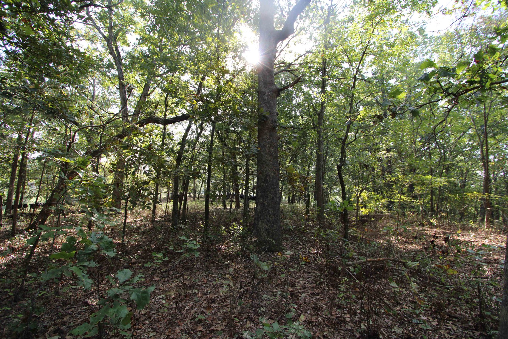 Image for Perry County, Hwy BB