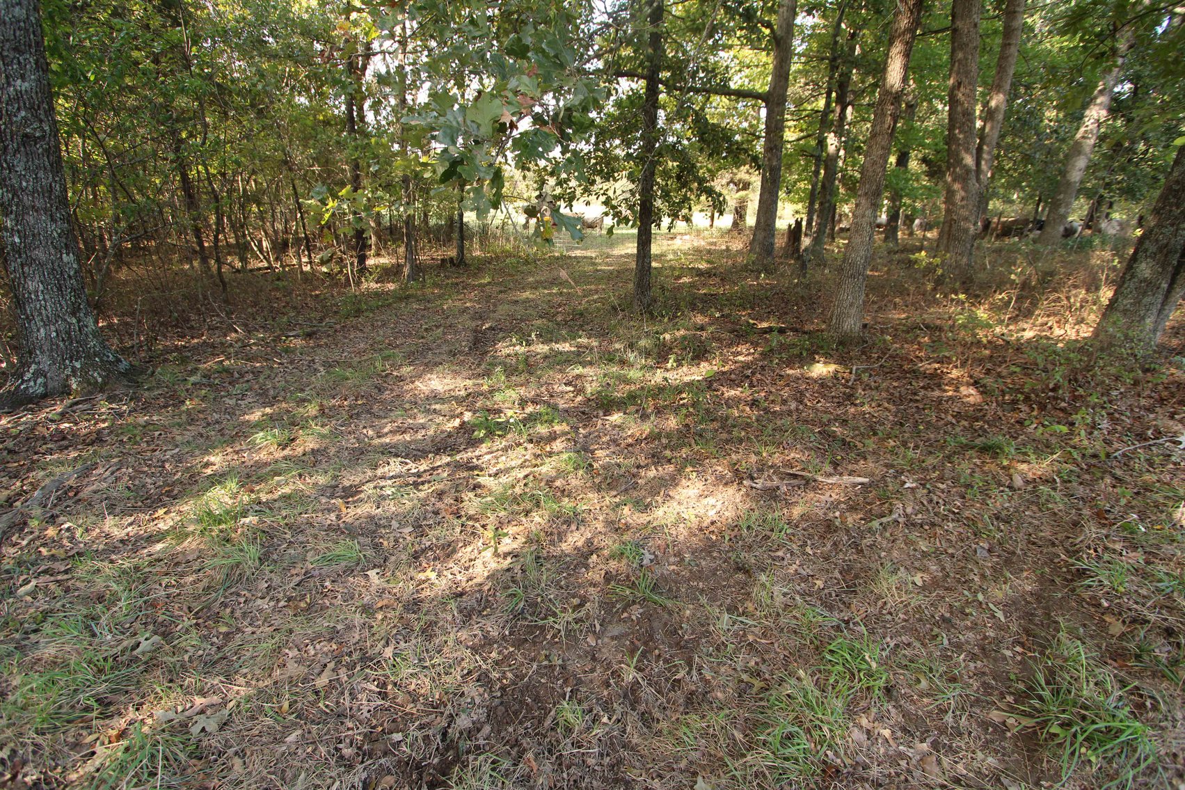 Image for Perry County, Hwy BB