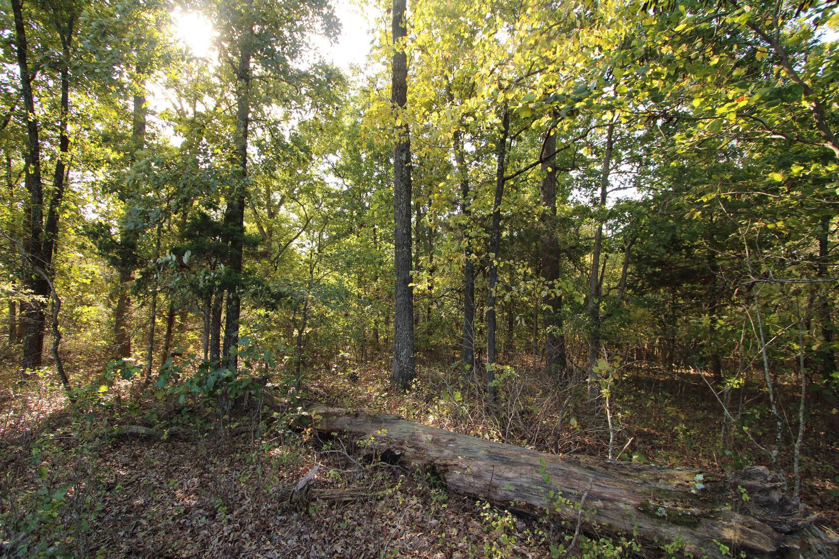 Image for Perry County, Hwy BB