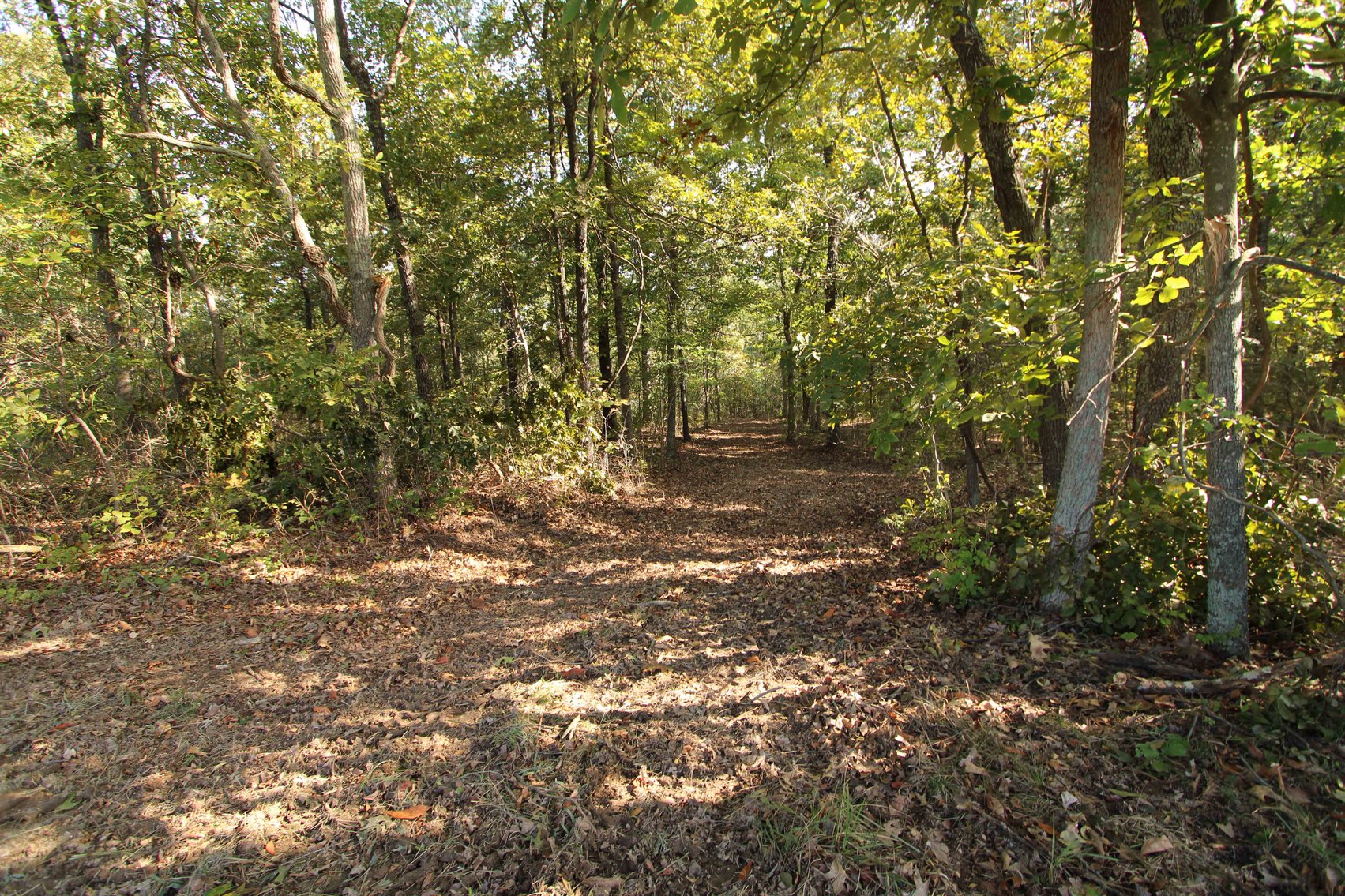 Image for Perry County, Hwy BB