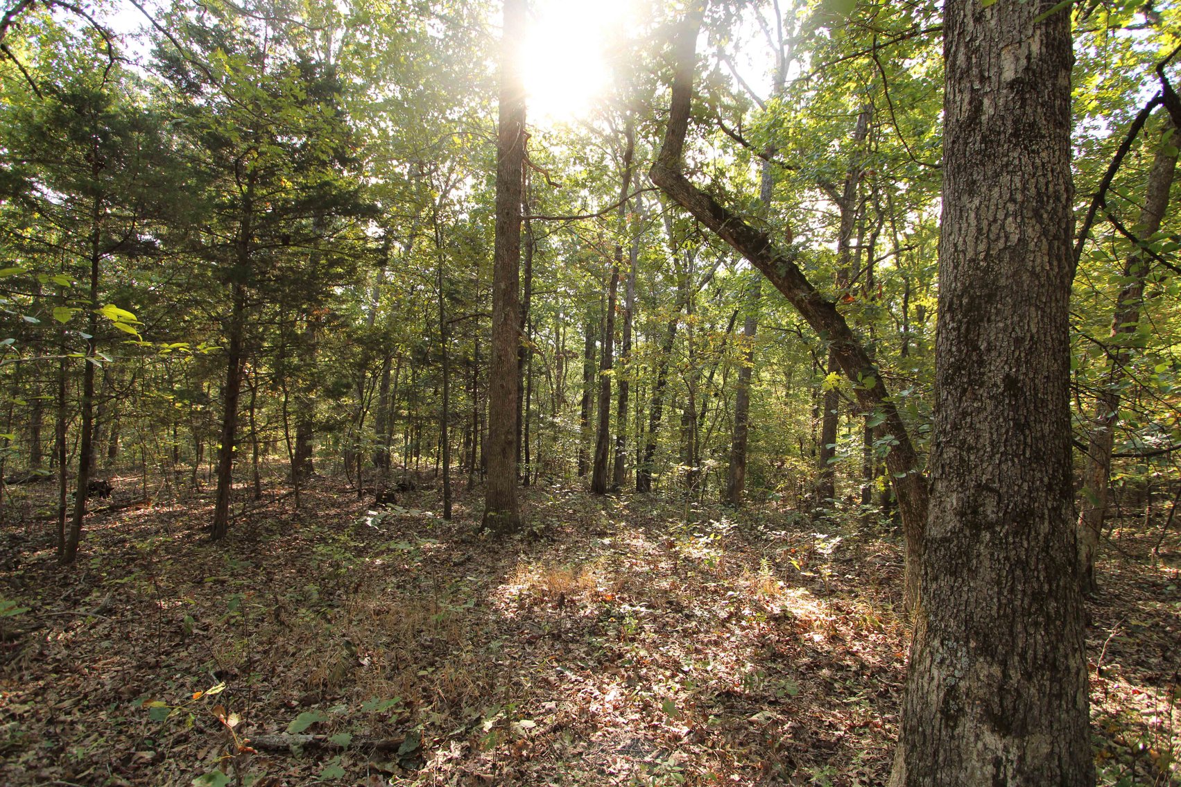 Image for Perry County, Hwy BB