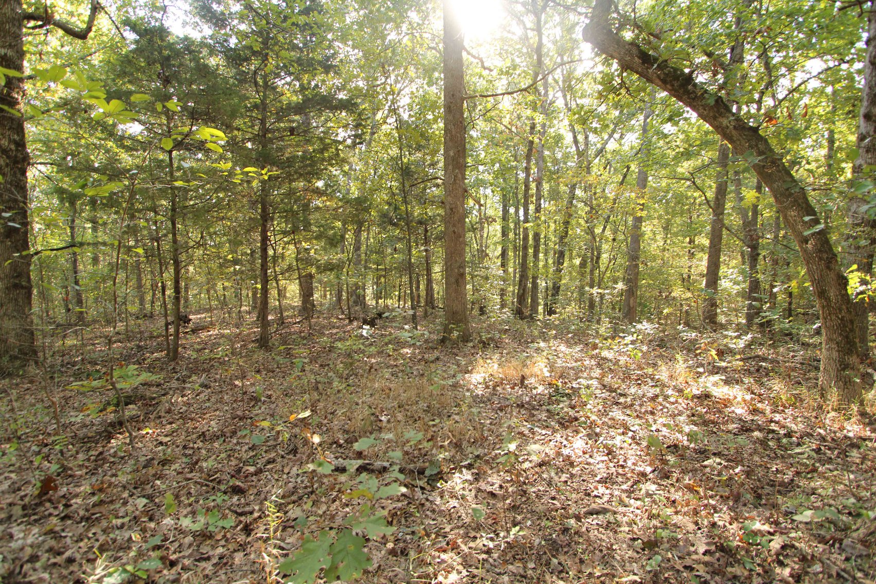 Image for Perry County, Hwy BB