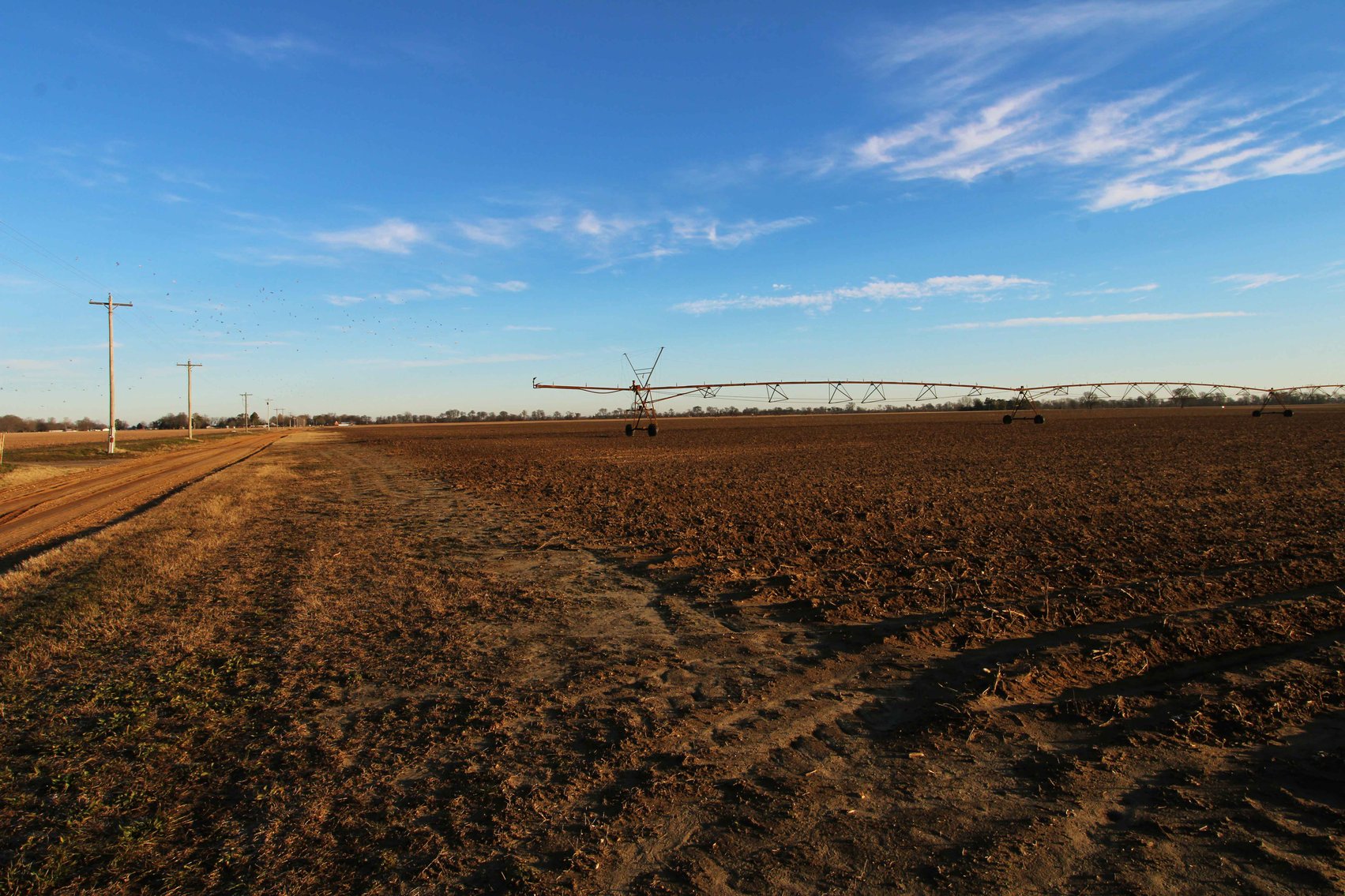 Image for Dunklin County, County Road 529 & 556