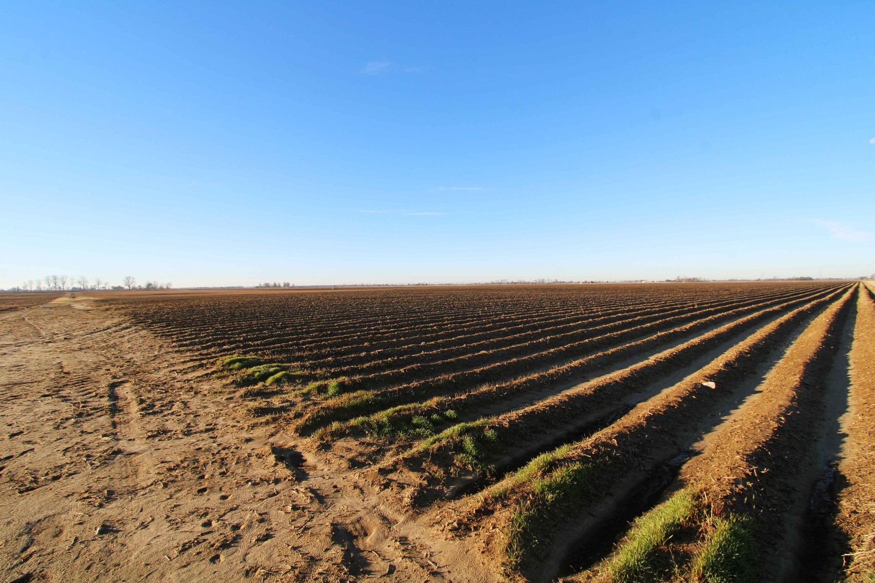 Image for Dunklin County, County Road 529 & 556