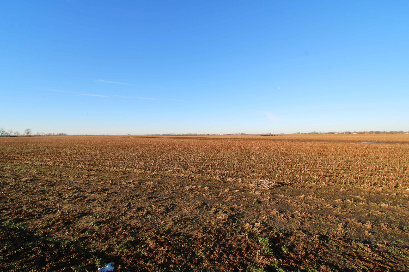 Image for Dunklin County, County Road 529 & 556