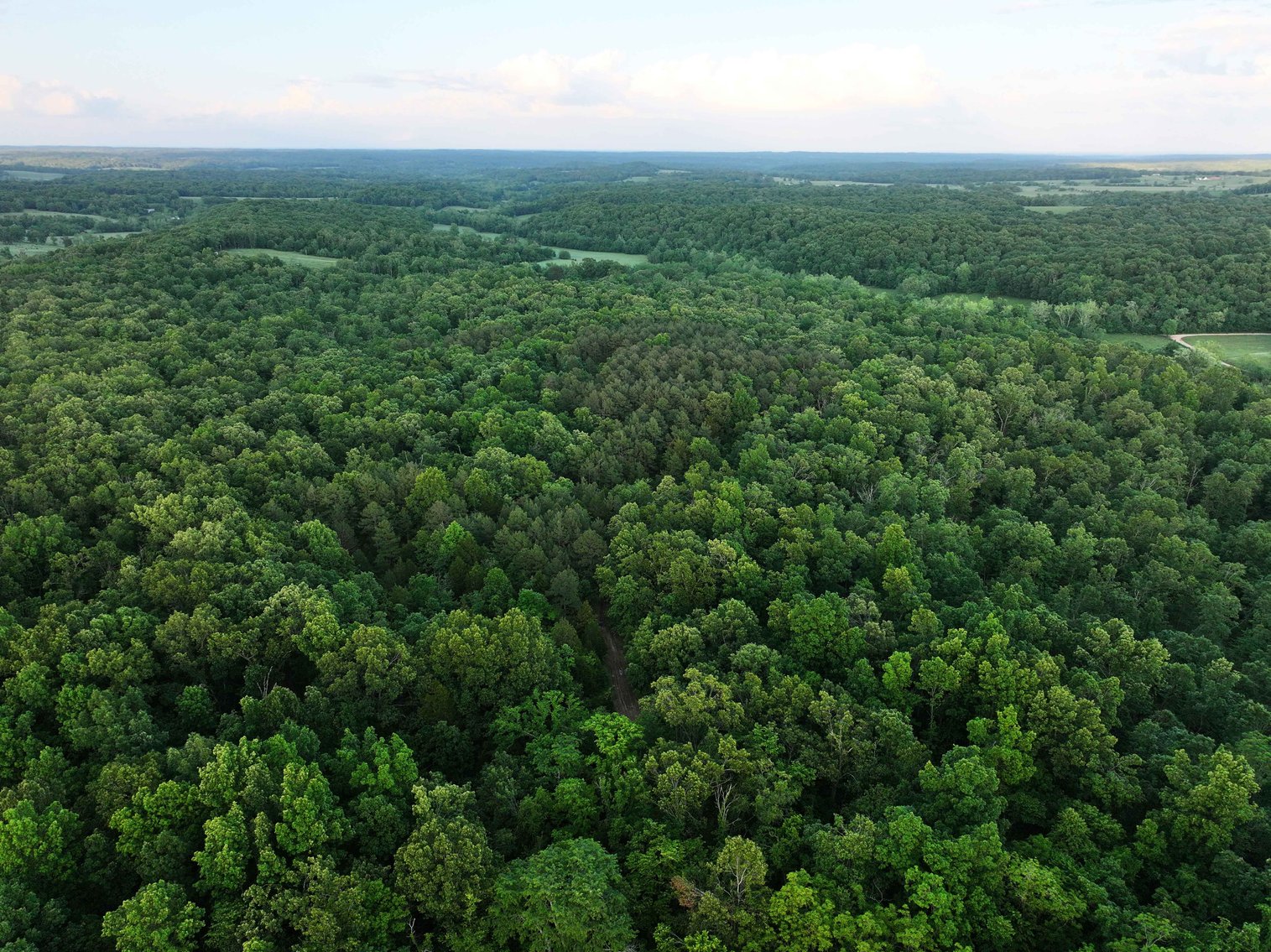 Image for Bollinger County 6 tracts BCR 924