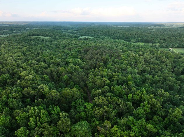 Image for Bollinger County 6 tracts BCR 924