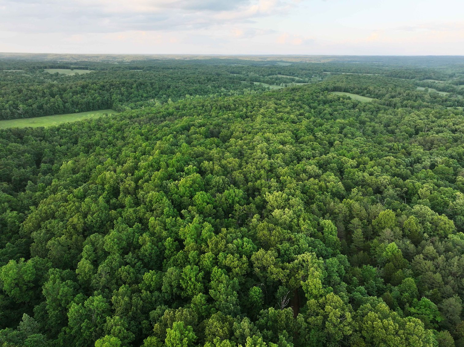 Image for Bollinger County 6 tracts BCR 924