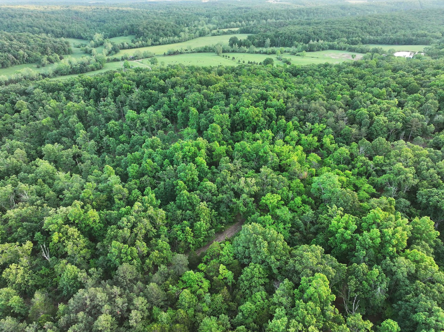 Image for Bollinger County 6 tracts BCR 924