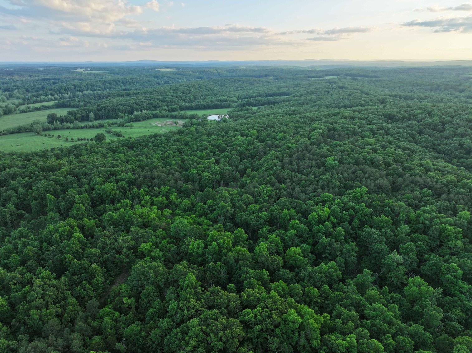 Image for Bollinger County 6 tracts BCR 924