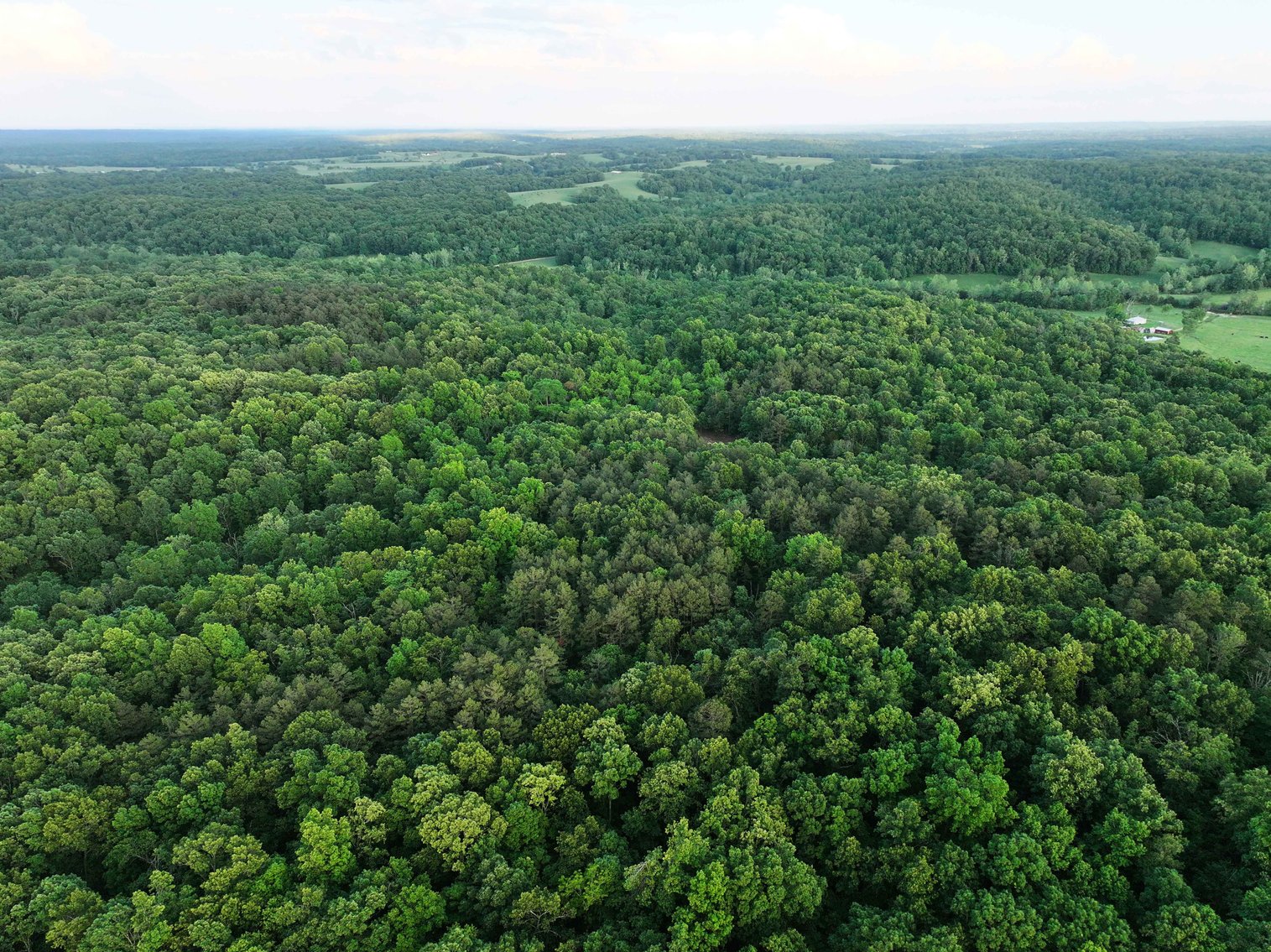 Image for Bollinger County 6 tracts BCR 924