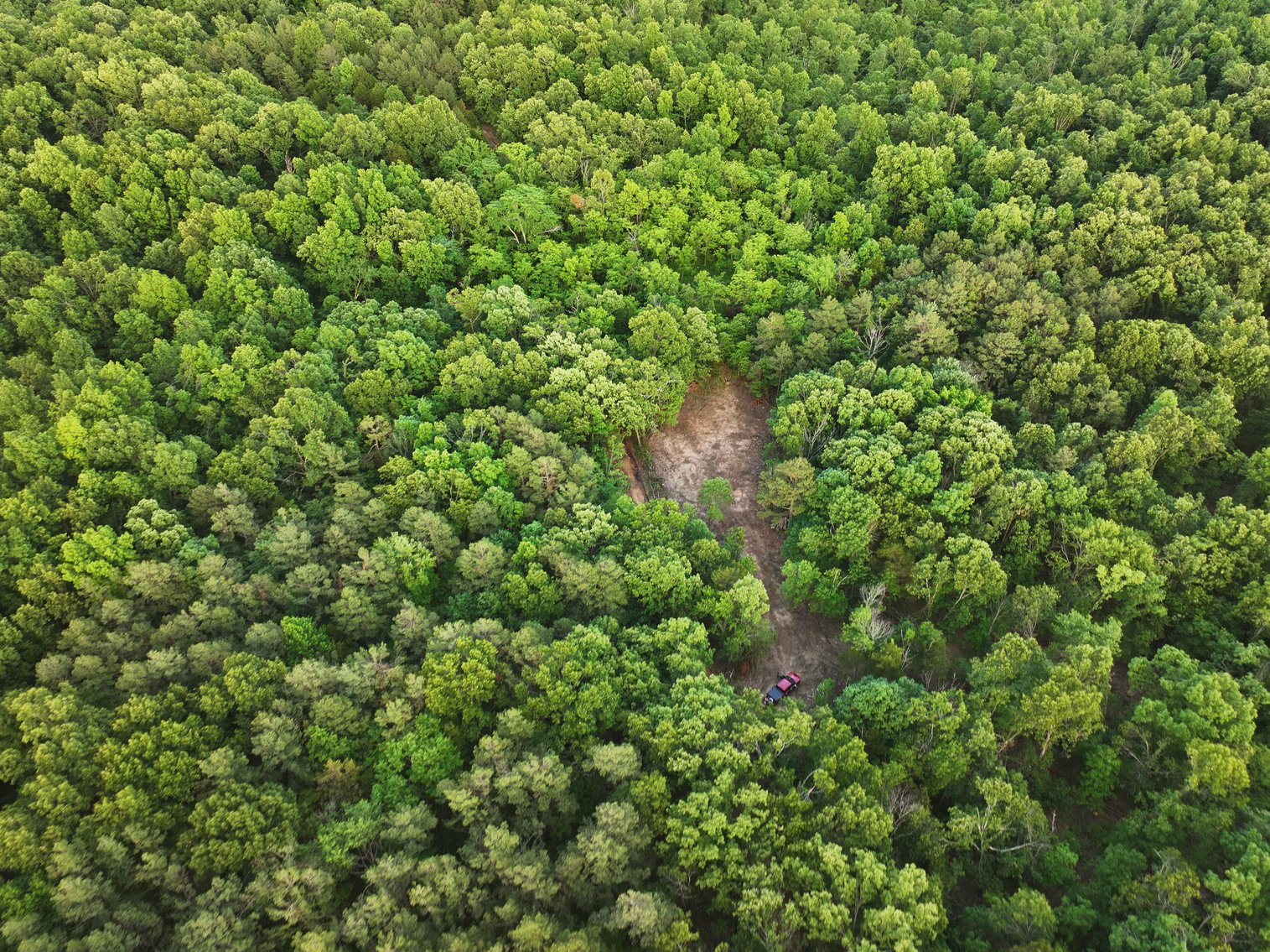 Image for Bollinger County 6 tracts BCR 924