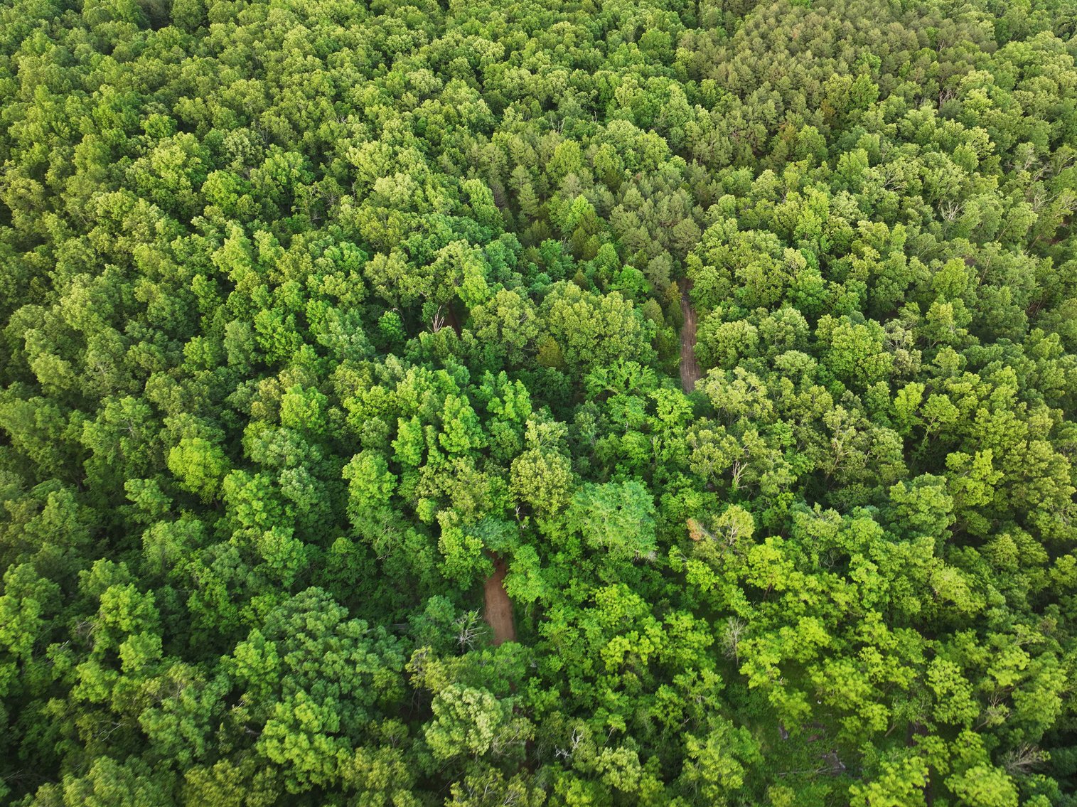 Image for Bollinger County 6 tracts BCR 924