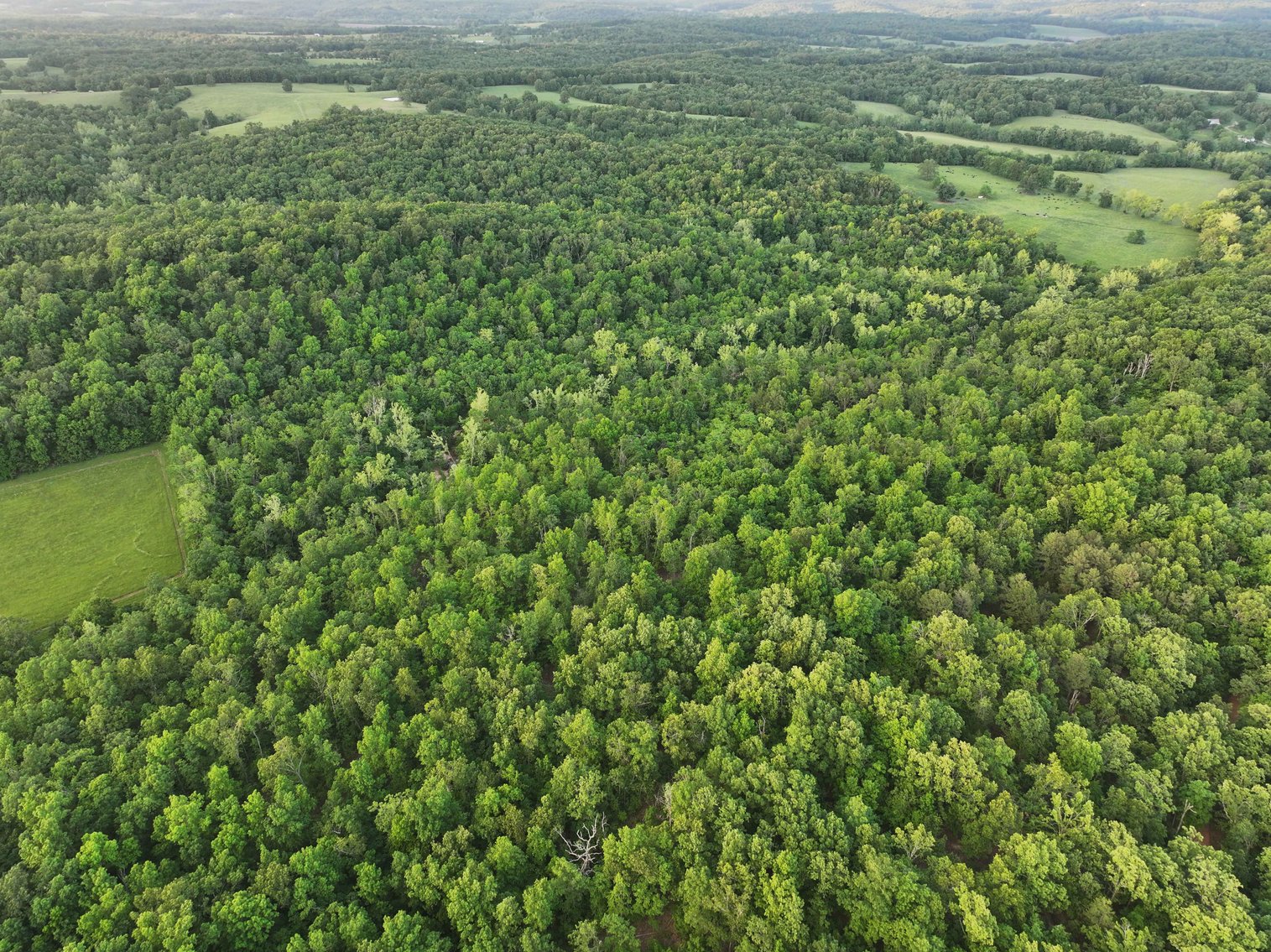 Image for Bollinger County 6 tracts BCR 924