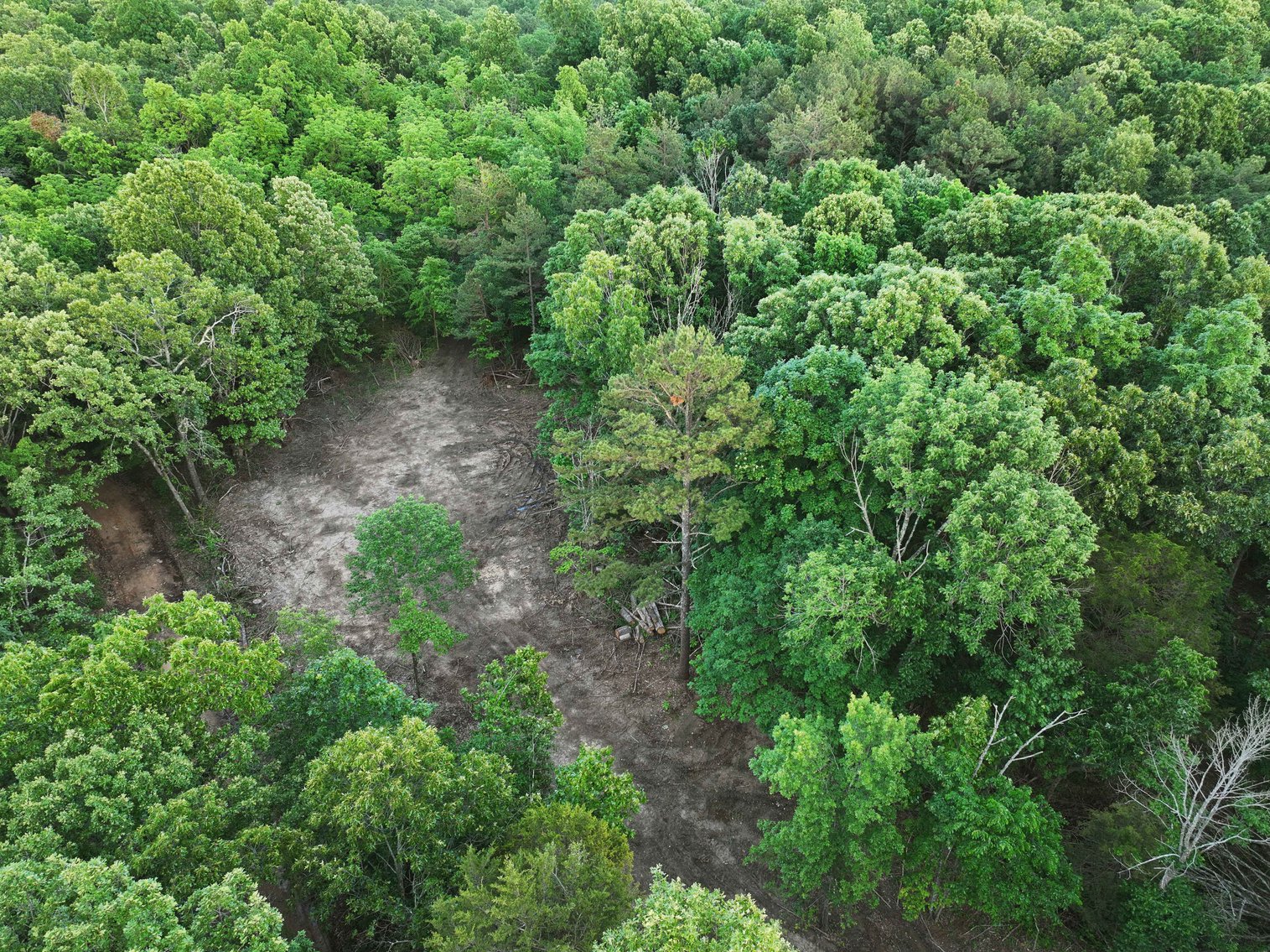 Image for Bollinger County 6 tracts BCR 924