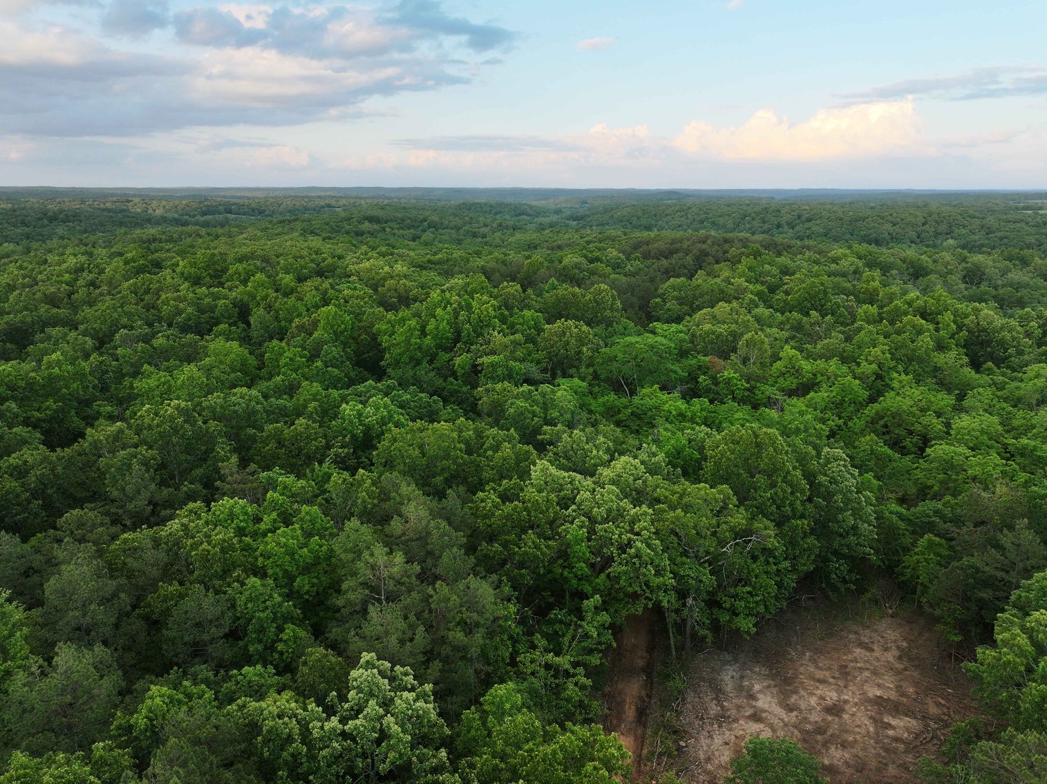 Image for Bollinger County 6 tracts BCR 924