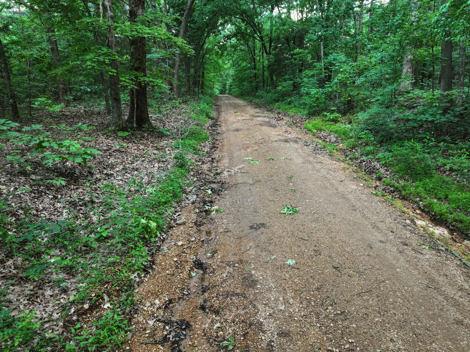 Image for Bollinger County 6 tracts BCR 924