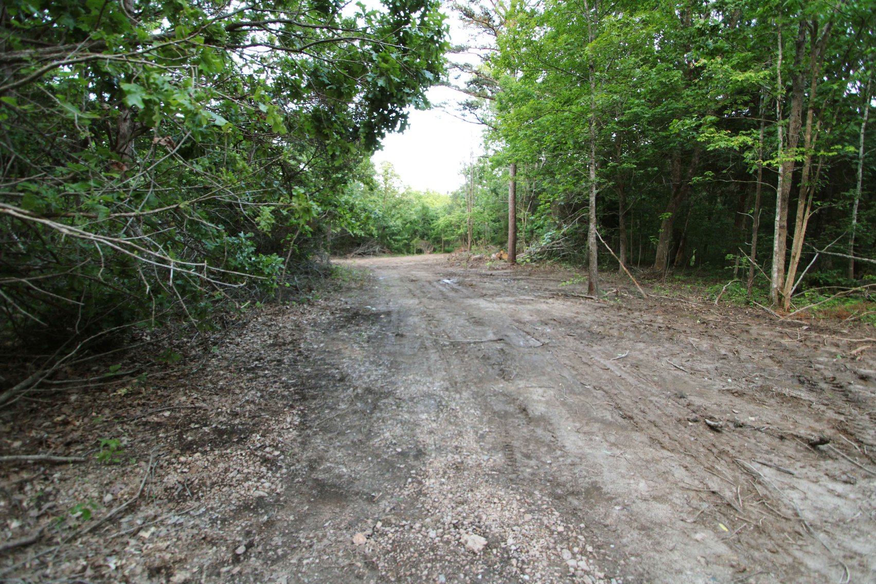 Image for Bollinger County 6 tracts BCR 924