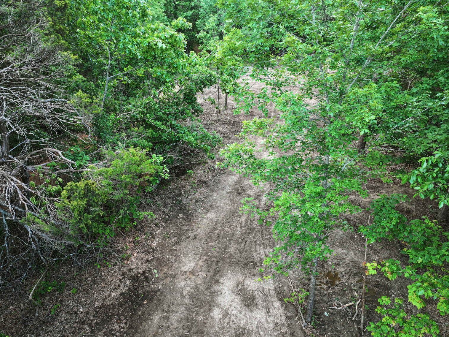 Image for Bollinger County 6 tracts BCR 924