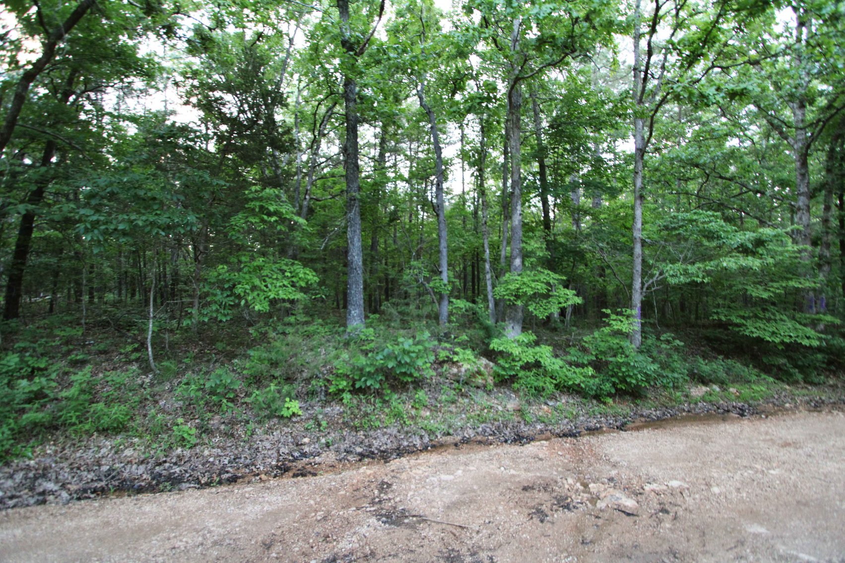 Image for Bollinger County 6 tracts BCR 924