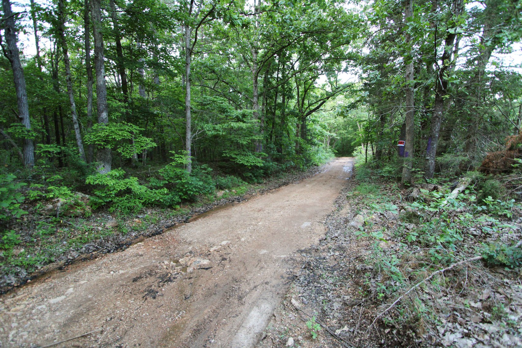 Image for Bollinger County 6 tracts BCR 924