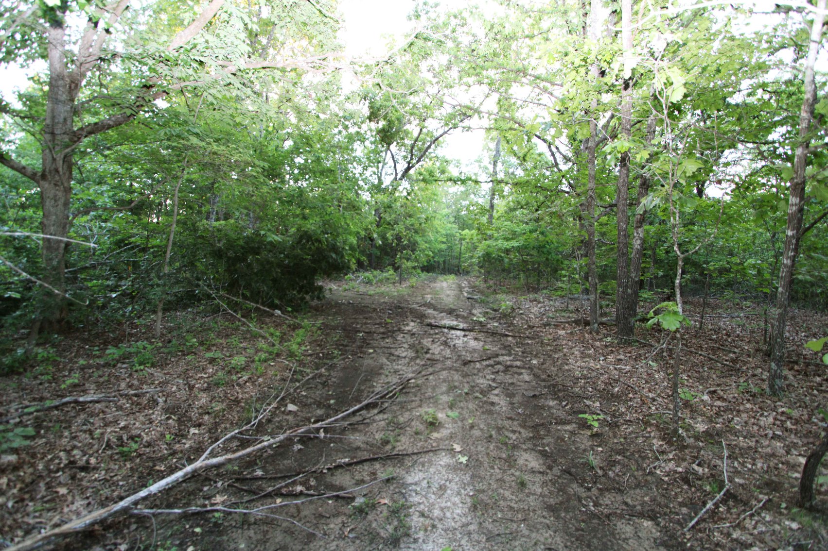 Image for Bollinger County 6 tracts BCR 924