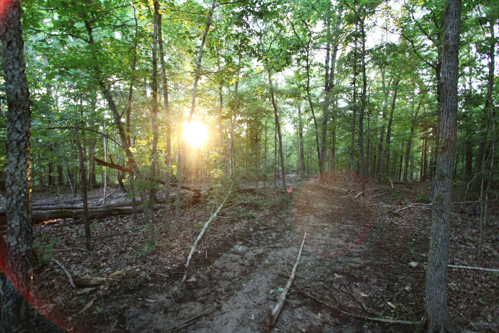 Image for Bollinger County 6 tracts BCR 924