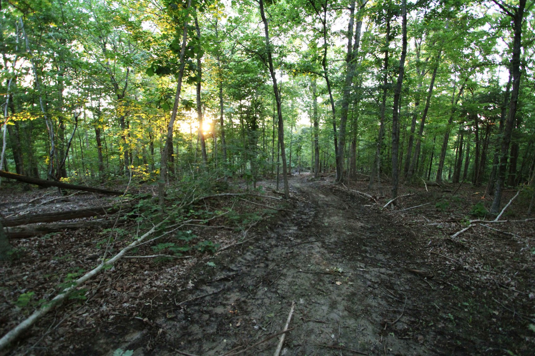 Image for Bollinger County 6 tracts BCR 924