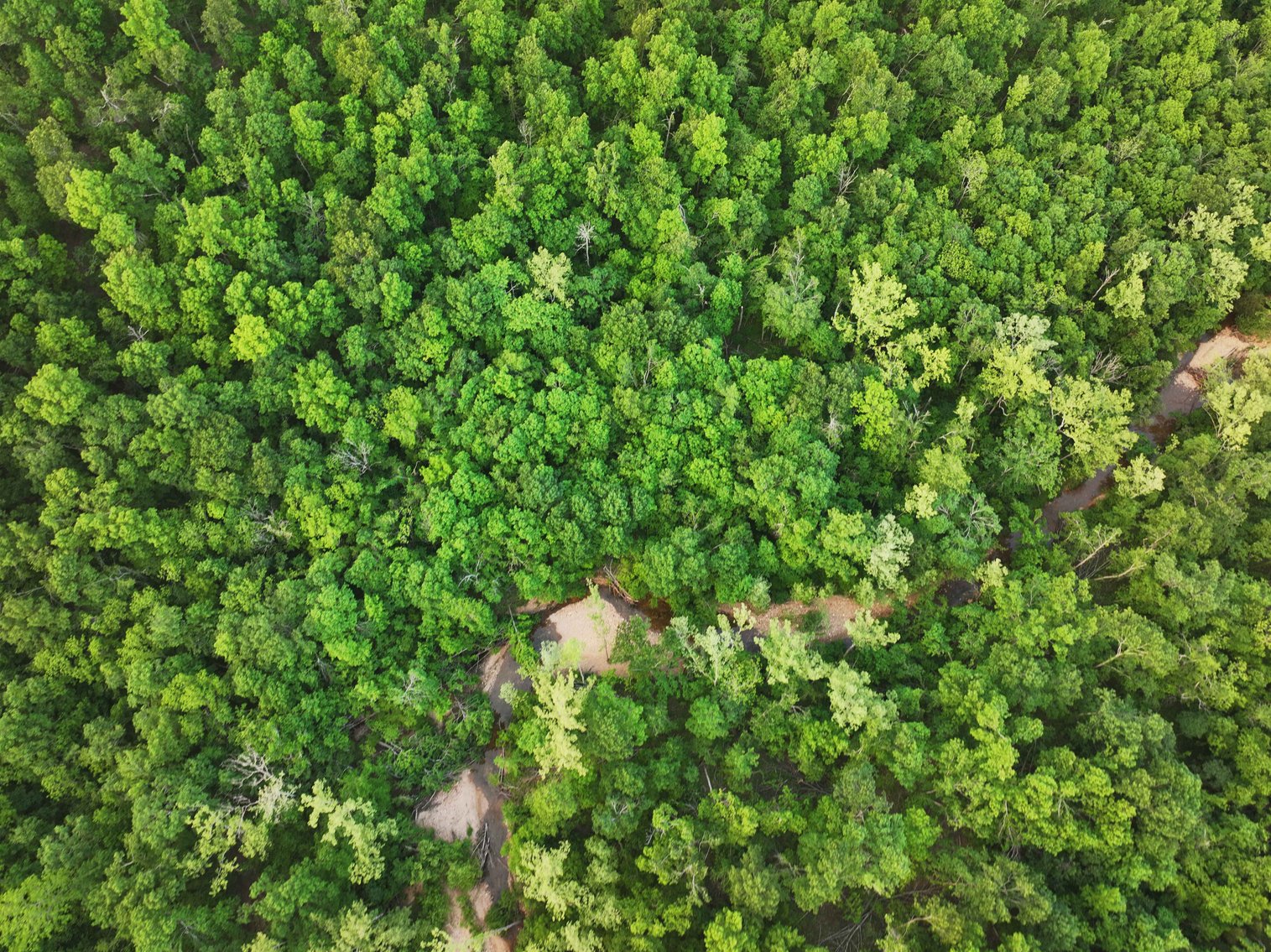 Image for Bollinger County 6 tracts BCR 924