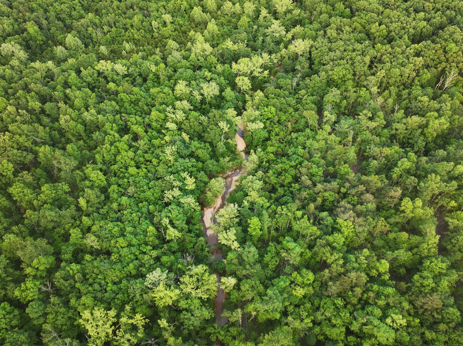 Image for Bollinger County 6 tracts BCR 924