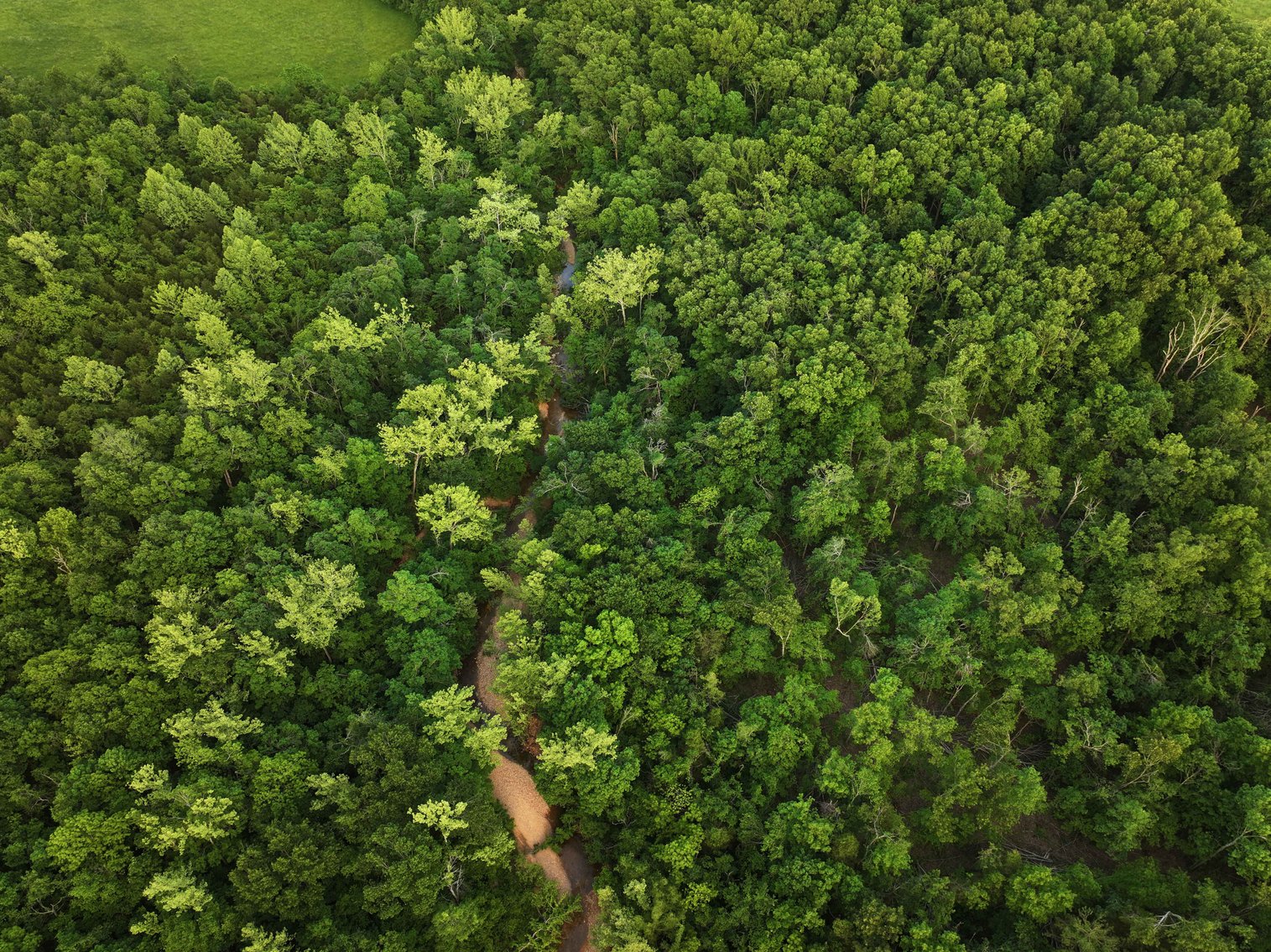 Image for Bollinger County 6 tracts BCR 924