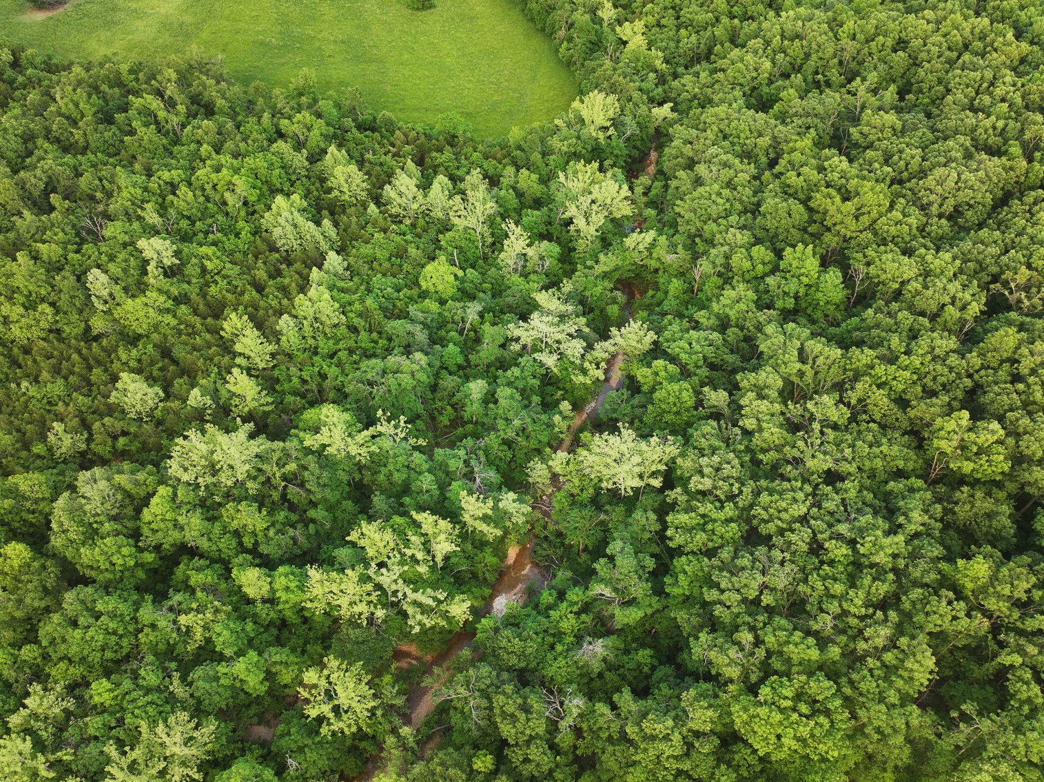 Image for Bollinger County 6 tracts BCR 924