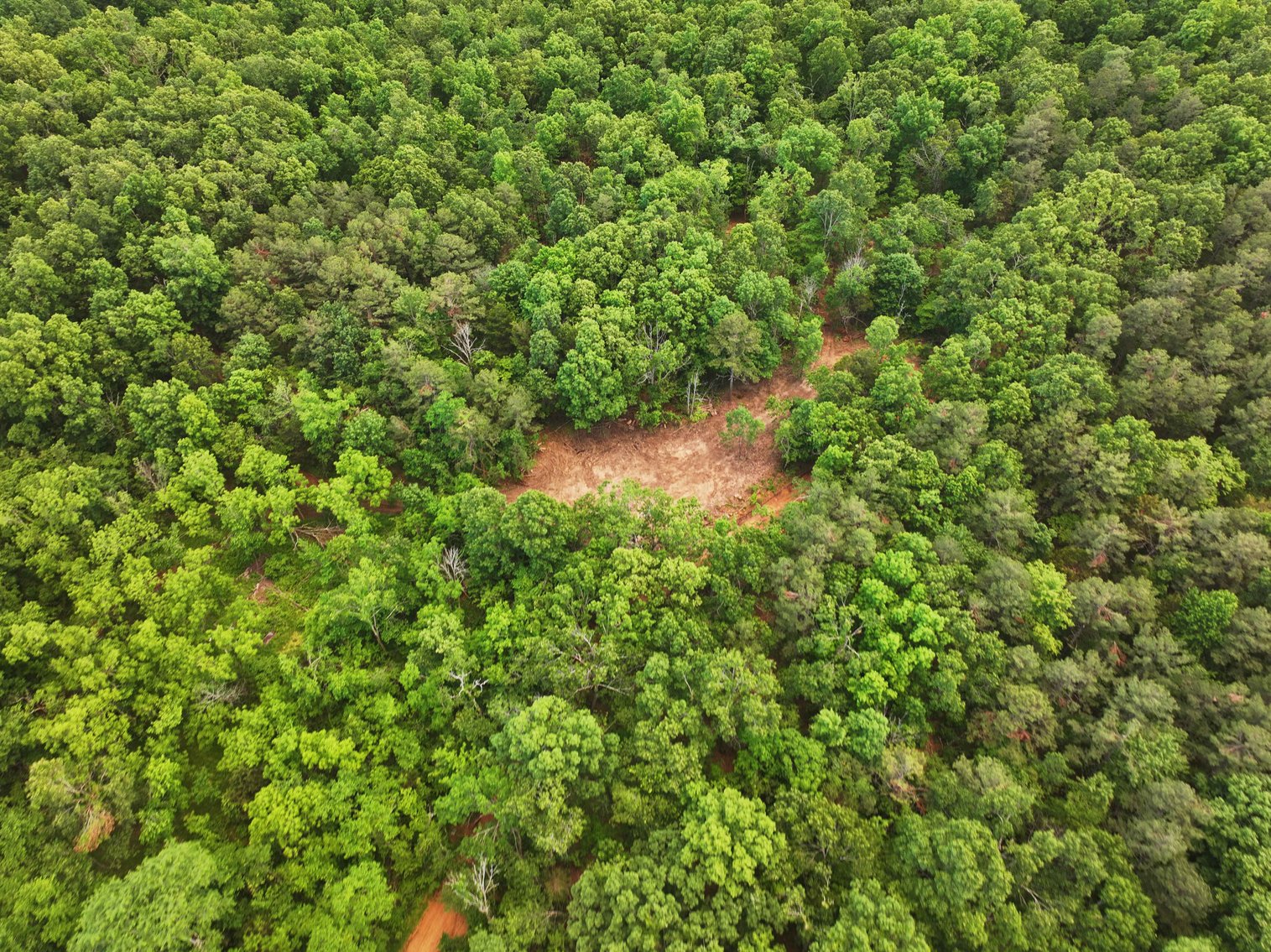 Image for Bollinger County 6 tracts BCR 924