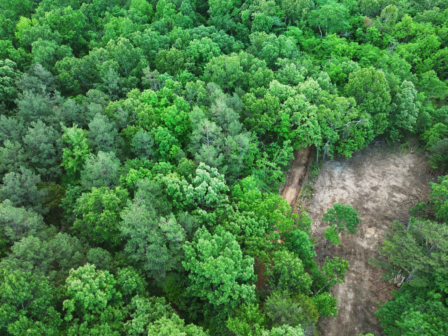 Image for Bollinger County 6 tracts BCR 924