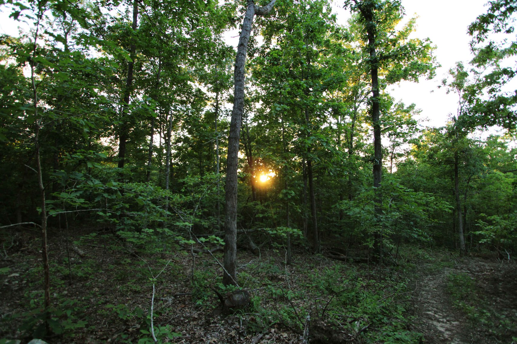 Image for Bollinger County 6 tracts BCR 924