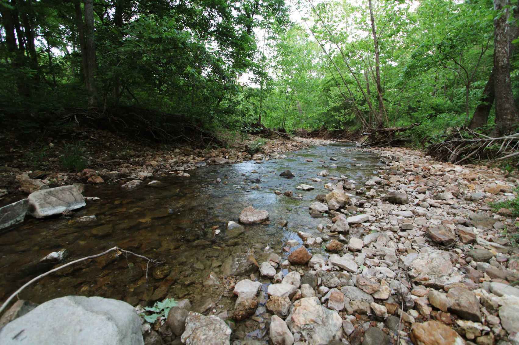 Image for Bollinger County 6 tracts BCR 924