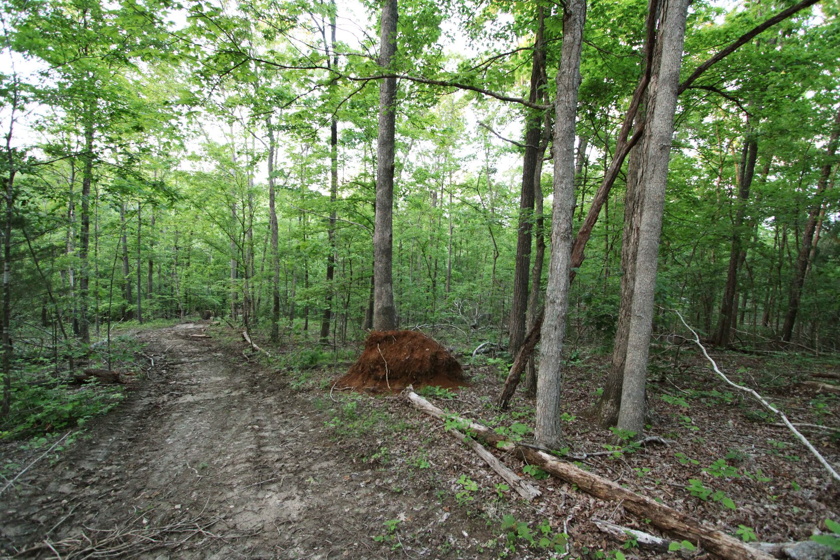 Image for Bollinger County 6 tracts BCR 924