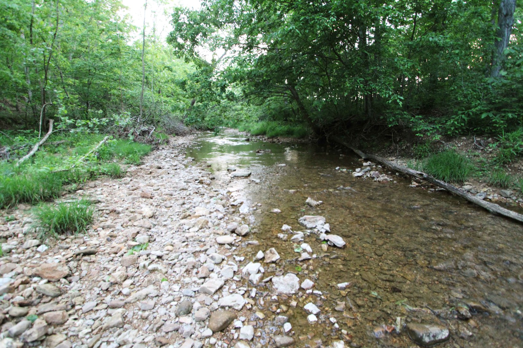 Image for Bollinger County 6 tracts BCR 924