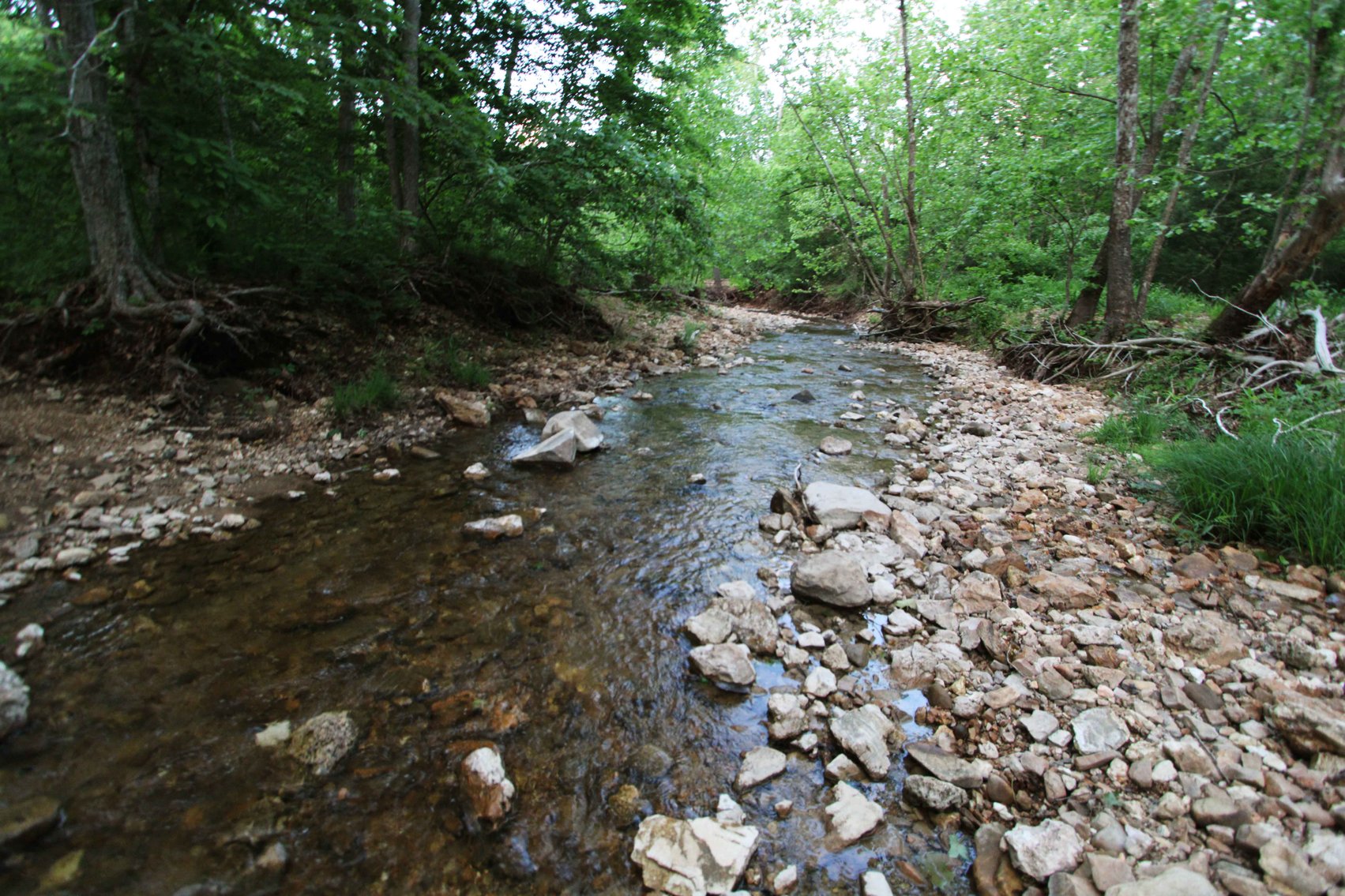 Image for Bollinger County 6 tracts BCR 924