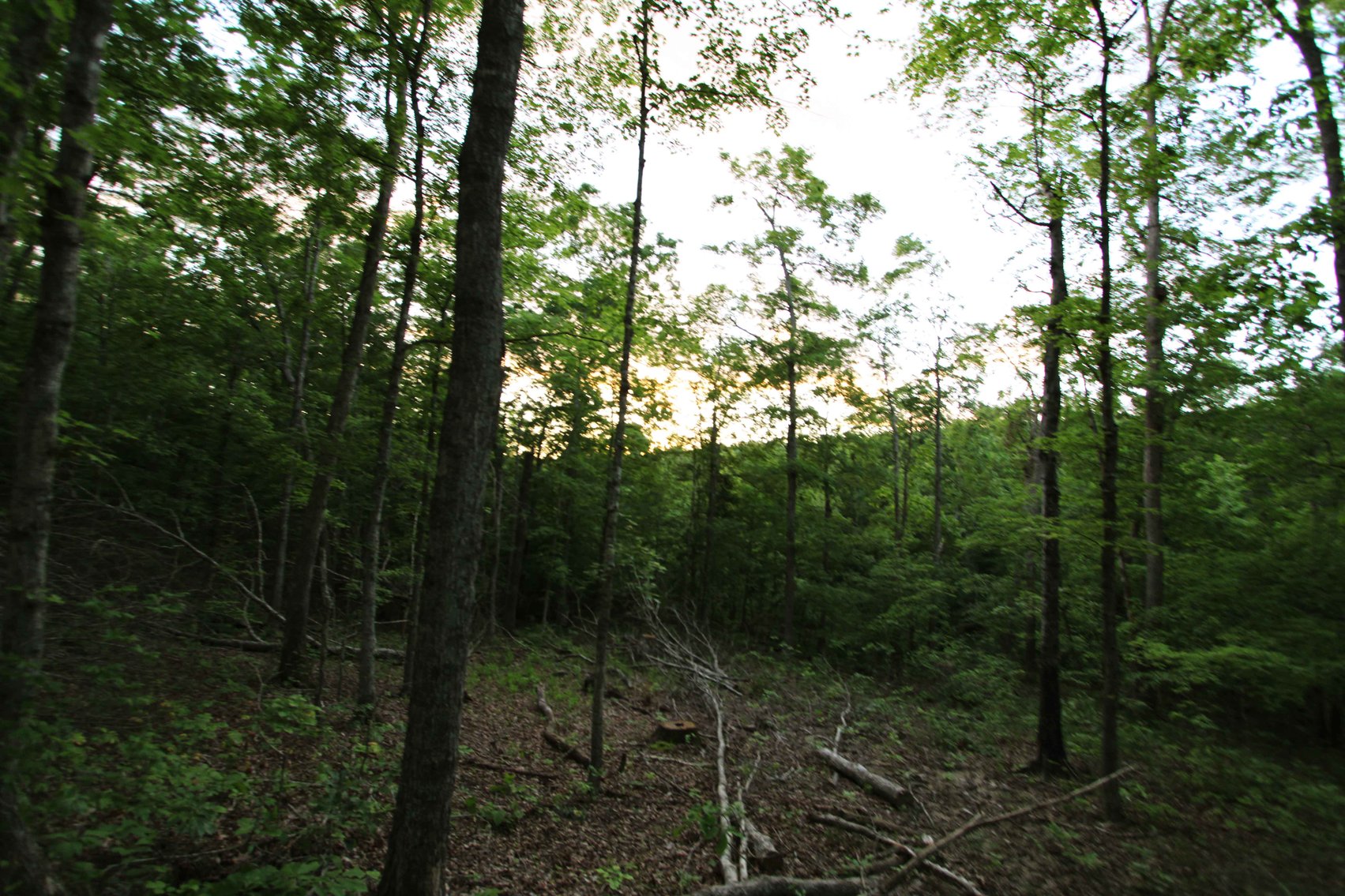 Image for Bollinger County 6 tracts BCR 924