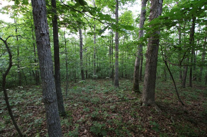 Image for Bollinger County 6 tracts BCR 924