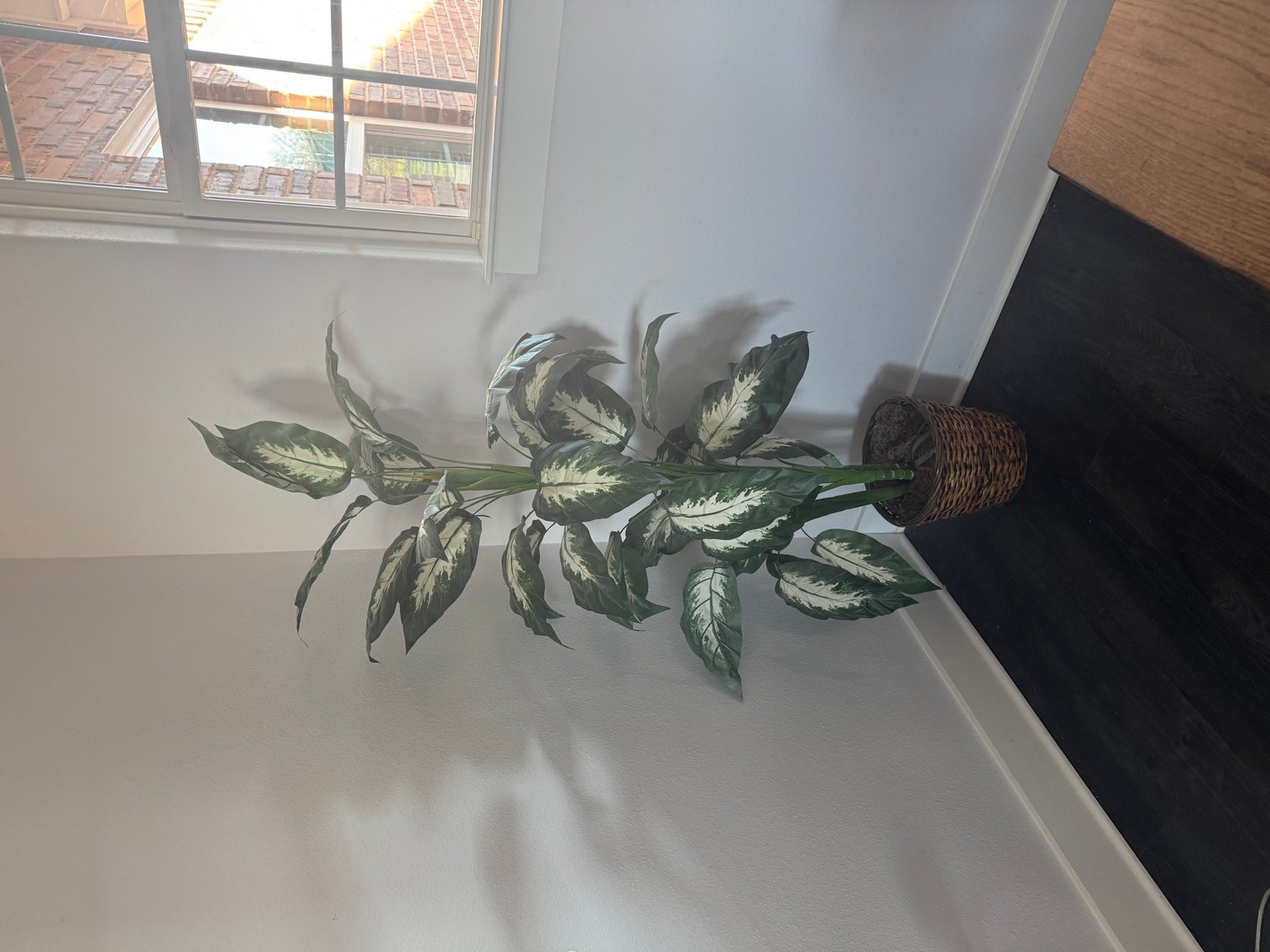 Image for Lorena, TX Real Estate & Contents Auction – Personal Property