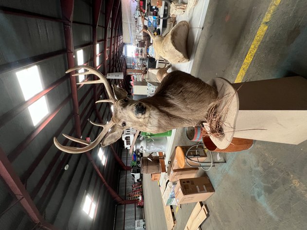 Image for September 2024 Online Only Auction