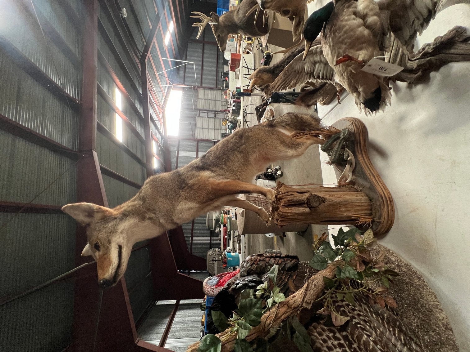 Image for September 2024 Online Only Auction